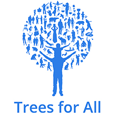 trees for all teambuilding Sheffield